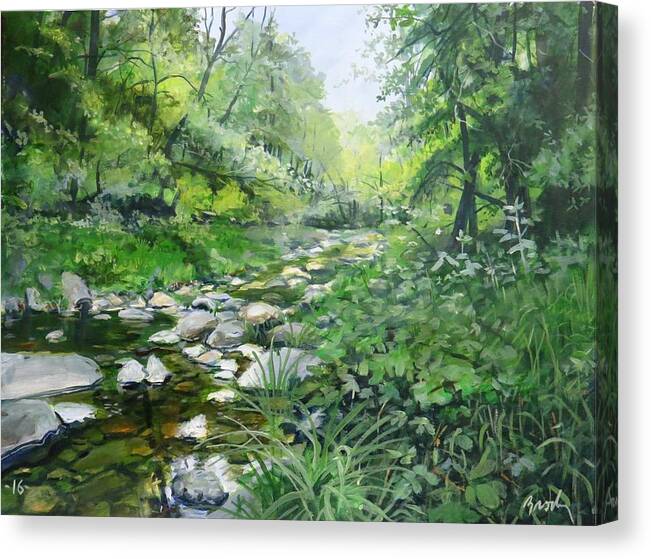 Stream Canvas Print featuring the painting Another Look by William Brody