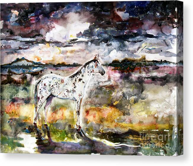 Horses Canvas Print featuring the painting Appaloosa Spirit Horse by Ginette Callaway