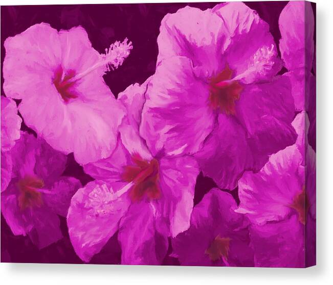 Hibiscus Canvas Print featuring the painting Hibiscus, Pink by Stephen Jorgensen