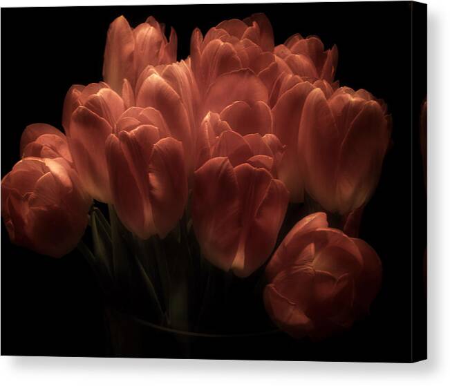 Tulips Canvas Print featuring the photograph Romantic Tulips by Richard Cummings