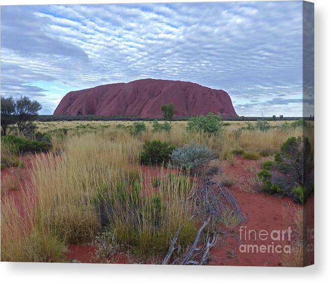 Uluru Canvas Print featuring the photograph Uluru - Australia by Phil Banks