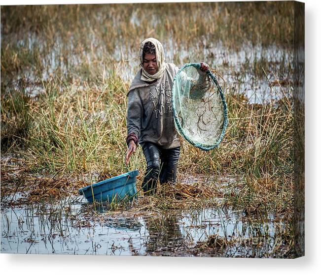 Madagascar Canvas Print featuring the photograph Woman catching fish in a paddyfield - 2 by Claudio Maioli