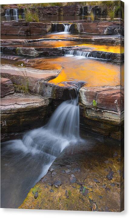 Waterfall Canvas Print featuring the photograph Golden Pools by Rick Drent