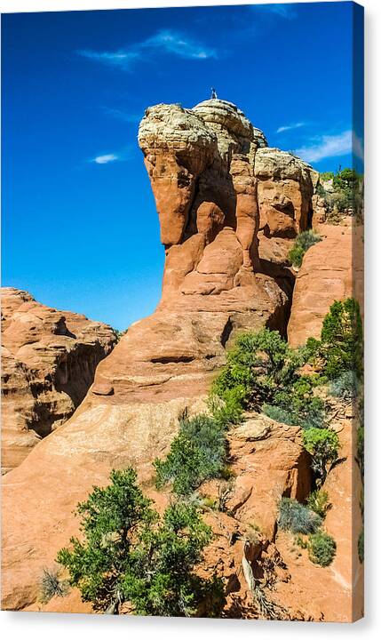 Arches National Park Canvas Print featuring the photograph The Muffins by Tommy Farnsworth