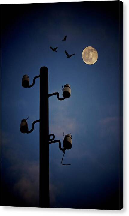 Full Moon Canvas Print featuring the photograph By the Light of the Moon by Richard Cummings