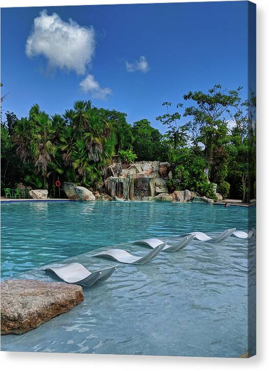 Water Canvas Print featuring the photograph EcoPark Pool in Belize by Portia Olaughlin