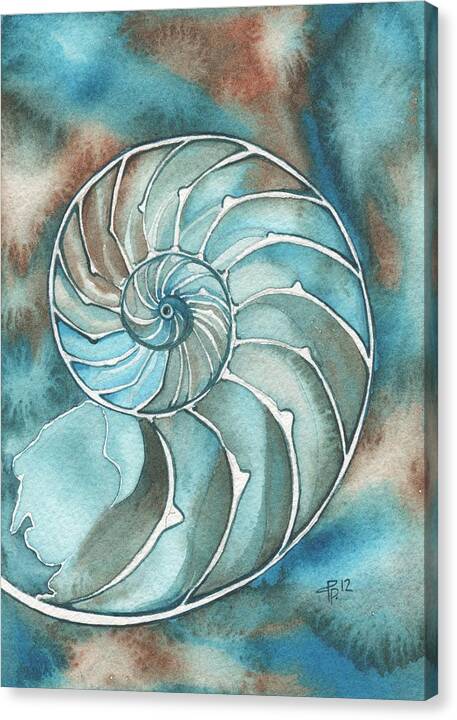Shell Canvas Print featuring the painting Nautilus by Tamara Phillips