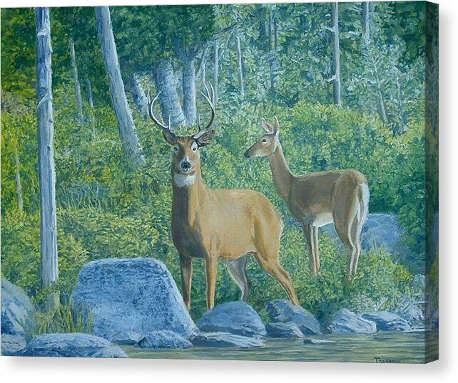 Wildlife Canvas Print featuring the painting Maine Deer by Sherman Thomason