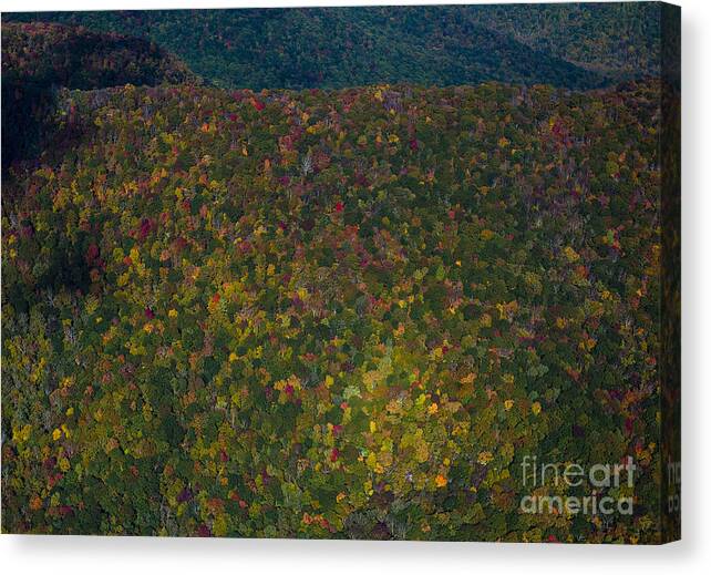 Nc Canvas Print featuring the photograph Autumn Colors at Craggy Gardens along the Blue Ridge Parkway #4 by David Oppenheimer