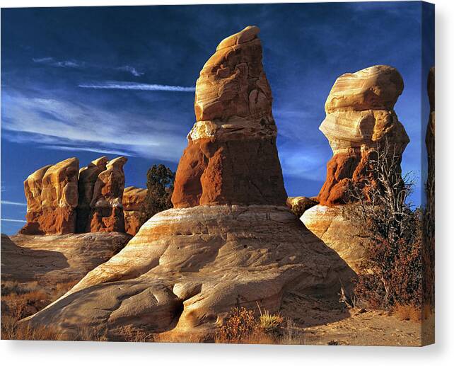 Sandstone Formations In The Devil's Garden Section Of The Escalante Grand Staircase National Monument Canvas Print featuring the photograph Sandstone Hoodoos in Utah Desert #4 by Douglas Pulsipher