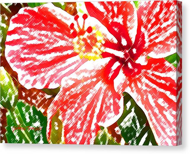 Hibiscus Canvas Print featuring the digital art Hibiscus by James Temple