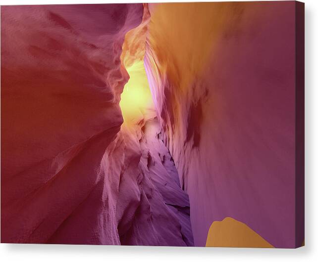Artificial Intelligence Canvas Print featuring the digital art Canyonland by Javier Ideami
