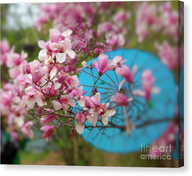 Cherry Blossom Festival Canvas Print featuring the photograph A blue umbrella by Agnes Caruso