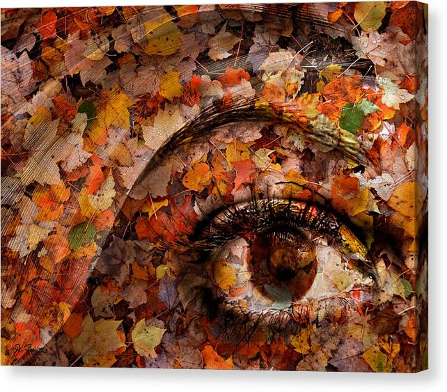 Eye of Autumn by Joe Bonita