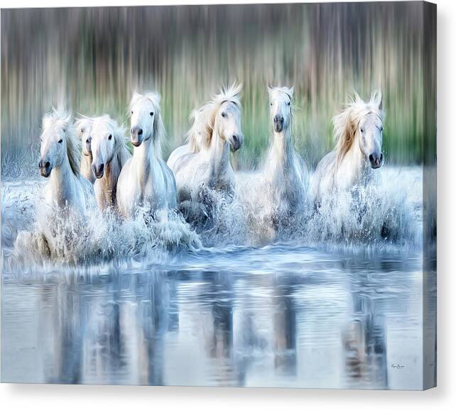 Horses Canvas Print featuring the photograph White Horses of the Camargue by Phyllis Burchett