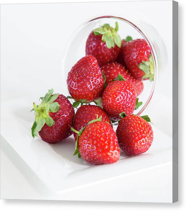 Fruit Canvas Print featuring the photograph Glass of strawberries by Agnes Caruso
