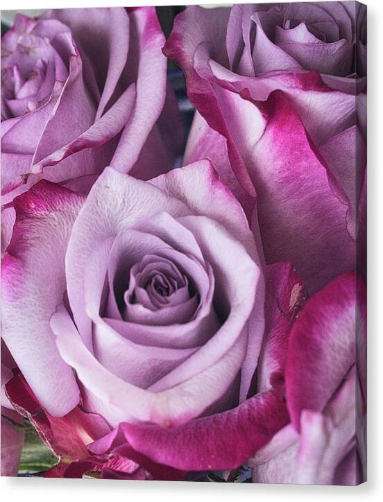 Rose Canvas Print featuring the photograph Lavender Rose Bouquet by Portia Olaughlin