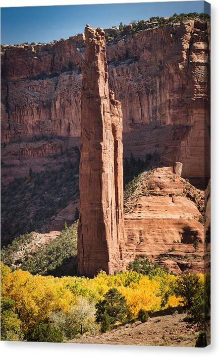 Spider Canvas Print featuring the photograph Spider Rock in the fall by Nicole Zenhausern