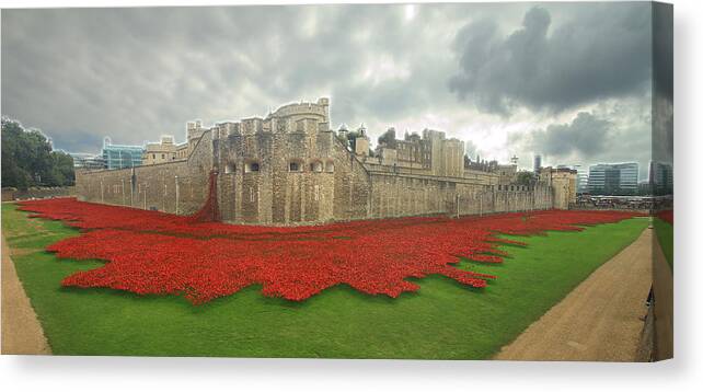 Poppies Canvas Print featuring the photograph Poppies Tower of London collage #1 by David French