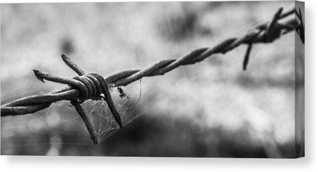 Black And White Canvas Print featuring the photograph Barbwire and Spider's Web Black and White by Kaleidoscopik Photography