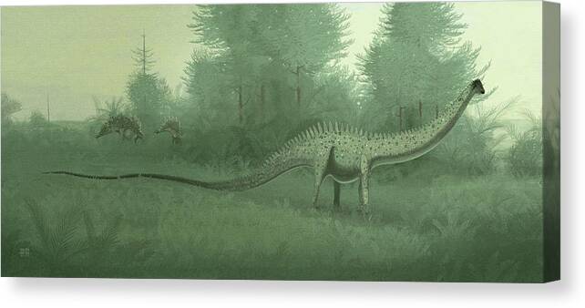 Diplodocus Longus Canvas Print featuring the photograph Diplodocus by John Conway/science Photo Library