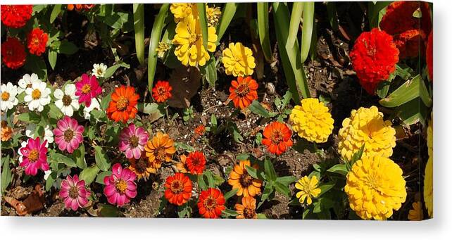 Linda Brody Canvas Print featuring the photograph Flower Bed by Linda Brody