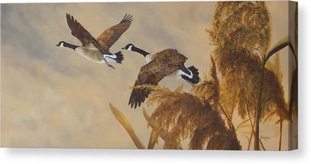 Geese Canvas Print featuring the painting Geese In Flight by Johanna Lerwick