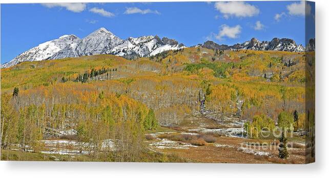 Colorado Canvas Print featuring the photograph Kebler's 1st Snow by Kelly Black