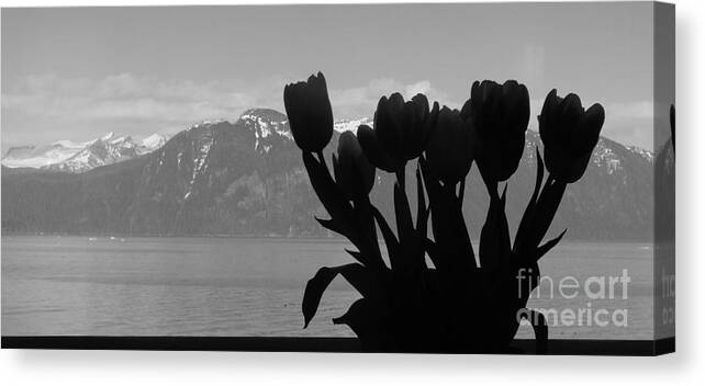 Mountains Canvas Print featuring the photograph Mountains and Tulips by Laura Wong-Rose