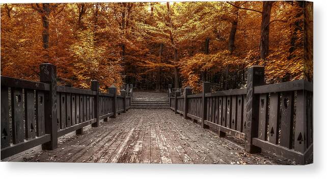 Landscape Canvas Print featuring the photograph Path to the Wild Wood by Scott Norris