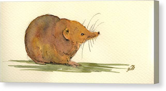 Shrew Canvas Print featuring the painting Shrew by Juan Bosco