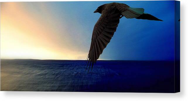 Digital Art Canvas Print featuring the digital art Raven at Sunset by Marysue Ryan