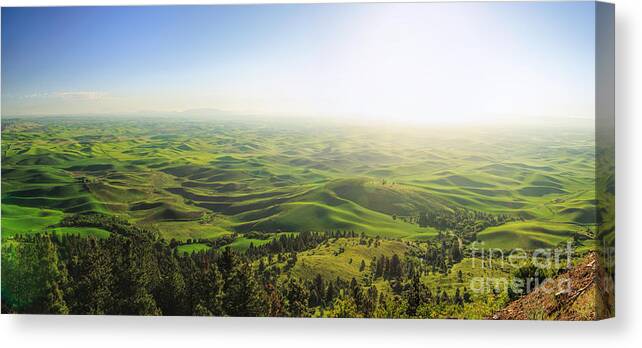 Morning Sun Canvas Print featuring the photograph The View - Palouse Country by Beve Brown-Clark Photography
