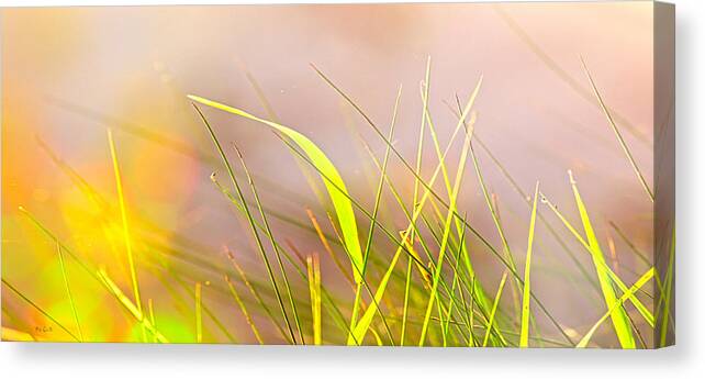 Abstract Canvas Print featuring the photograph Wind Through The Grass by Bob Orsillo