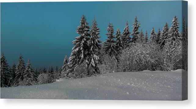Tranquility Canvas Print featuring the photograph Winter Light by Tore Thiis Fjeld
