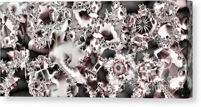 Abstract Canvas Print featuring the digital art Divider by Ron Bissett