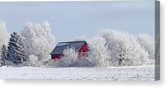 Frosty Canvas Print featuring the photograph Frosty Morning on Red Barn by Jack Schultz