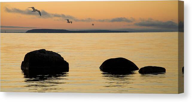 Sunrise Canvas Print featuring the photograph Sunrise with Gulls at St. Ignace Michigan by Randall Nyhof