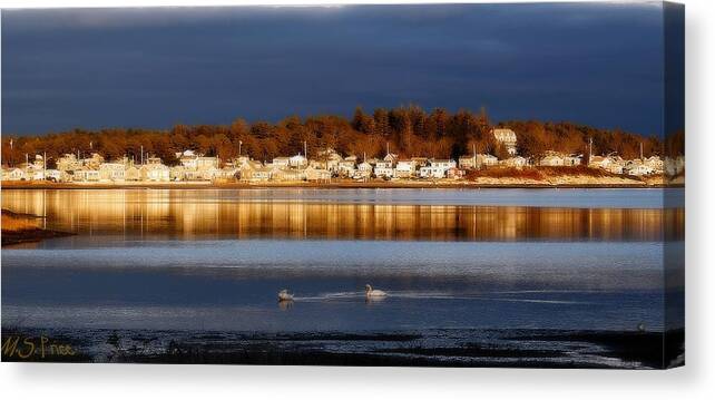 Marsh Canvas Print featuring the photograph Swans at Sunset by Marysue Ryan