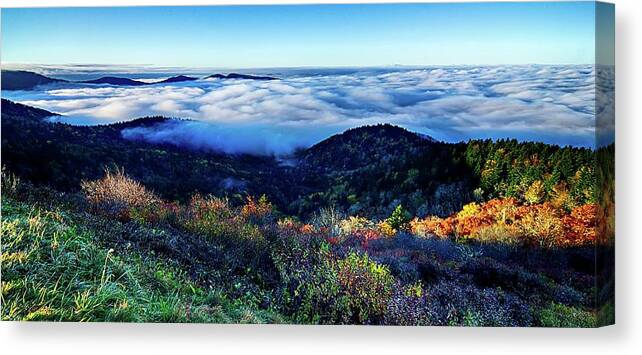 Mountains Canvas Print featuring the photograph  Great Smoky Mountains National Park #14 by Alex Grichenko
