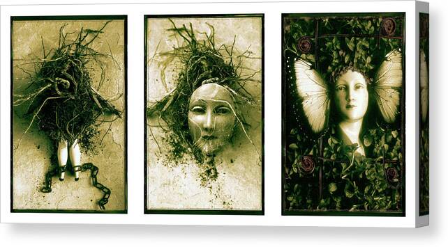 Triptych Canvas Print featuring the photograph A Graft In Winter Triptych by David Chasey