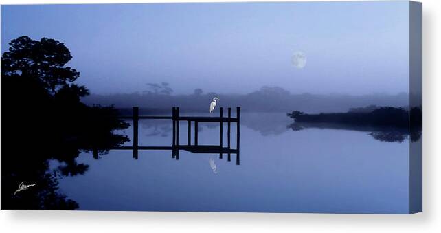 Nature Canvas Print featuring the photograph An Image of Silence by Phil Jensen