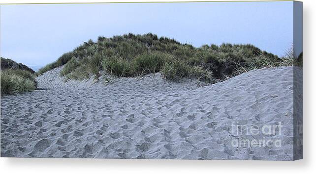 Sand Dunes Canvas Print featuring the photograph Dunes by Joyce Creswell