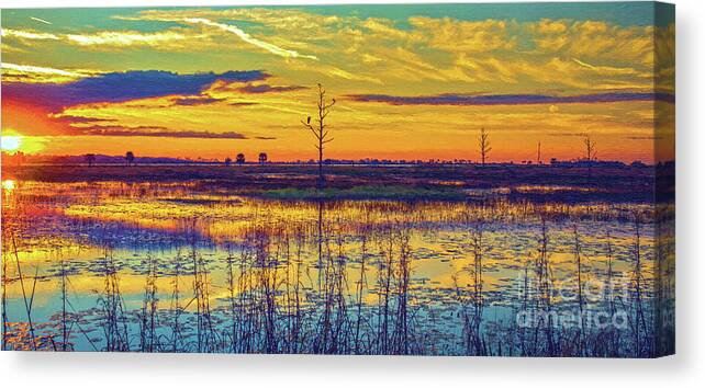 Nature Canvas Print featuring the photograph Florida Nature Paradise 2 by DB Hayes