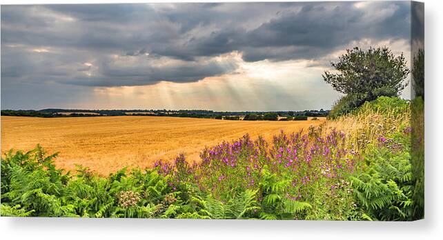 Fields Canvas Print featuring the photograph Gods Light by Nick Bywater