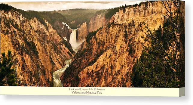 Yellowstone National Park Canvas Print featuring the photograph Grand Canyon Of The Yellowstone with caption by Greg Norrell