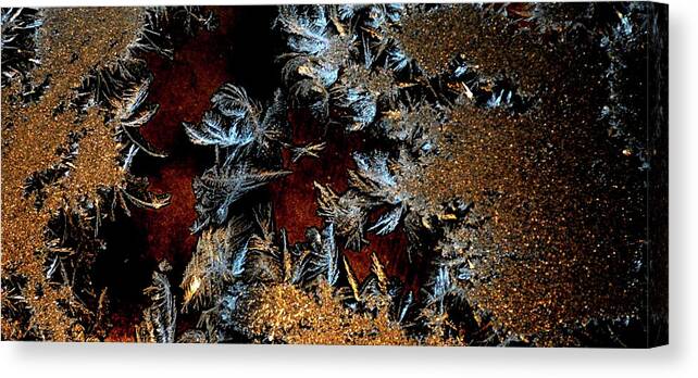 Gold Canvas Print featuring the photograph Ice Cold gold by Cheryl Charette