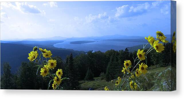 Color Canvas Print featuring the photograph Maine Mountain Vistas by Mike Breau