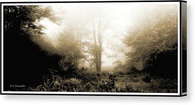 Morning Mist At A Forest Edge Canvas Print featuring the photograph Morning Mist by A Macarthur Gurmankin