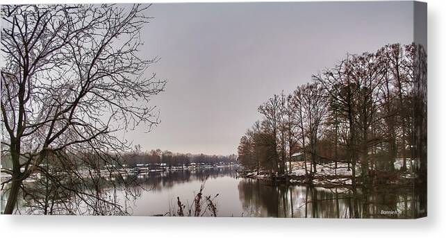 Reelfoot Lake Canvas Print featuring the photograph Reelfoot Lake Wash Out by Bonnie Willis